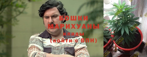 PSILOCYBIN Нея