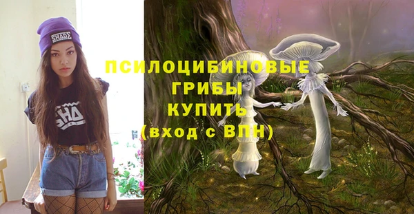 PSILOCYBIN Нея
