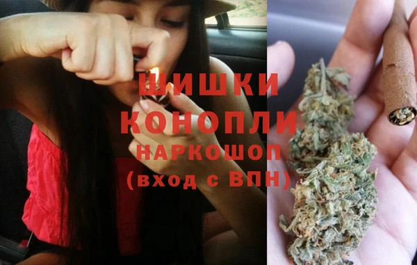PSILOCYBIN Нея